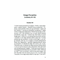 Safenat Paneach - – wezyr Egiptu
